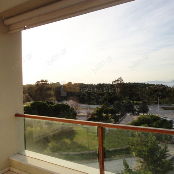 ??? - View