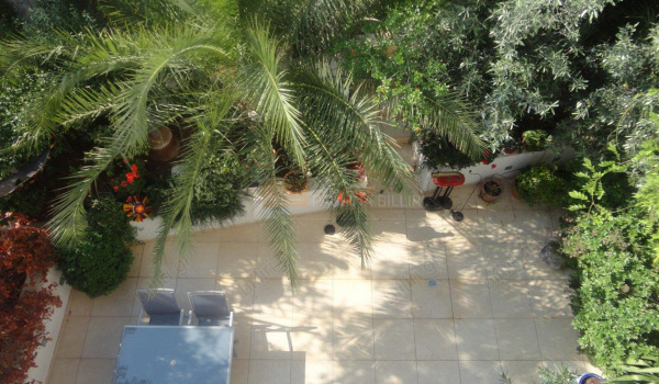 Εξωτερικός χώρος - Outdoor space 