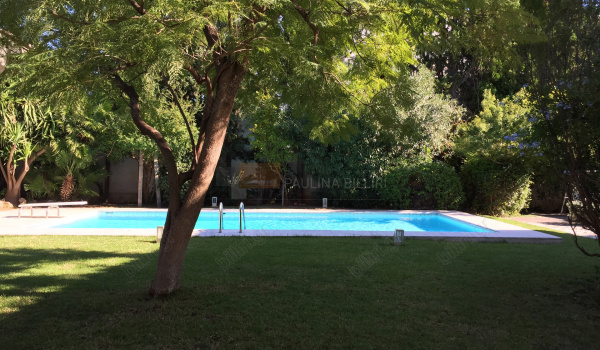 Κήπος - πισίνα . Garden - swimming pool