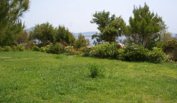 Κήπος - Garden