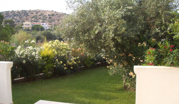 Kήπος - Garden